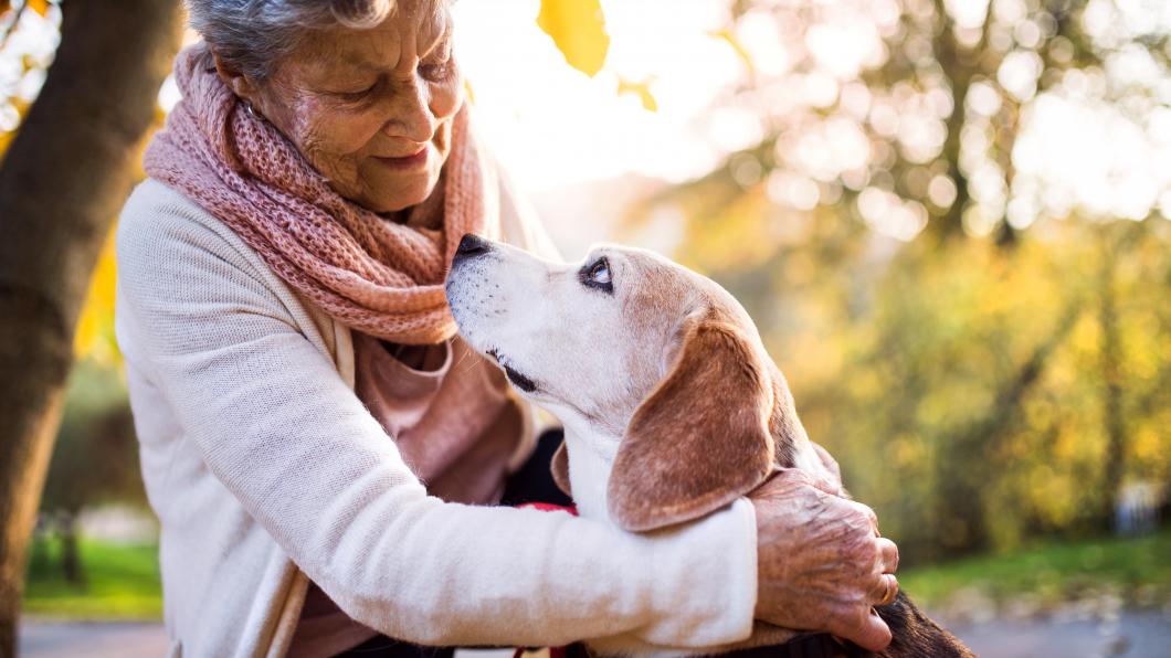Een oudere vrouw knuffelt een beagle hond