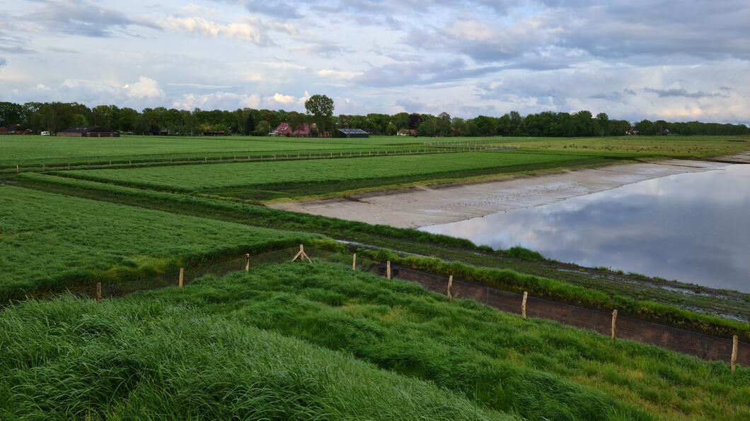 Aangelegd natuurgebied naast snelweg in Kolham