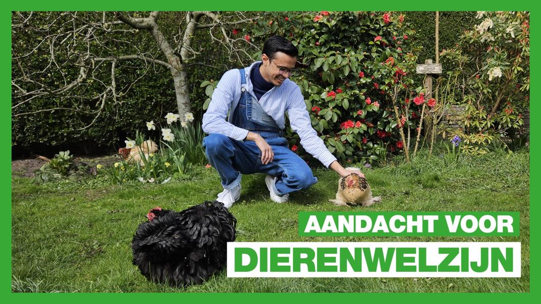 Fractievoorzitter Roshano met kippen