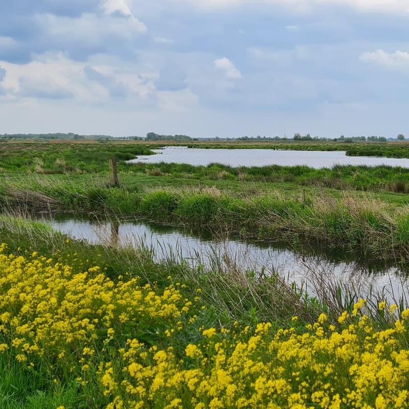 Midden-Groningse natuur