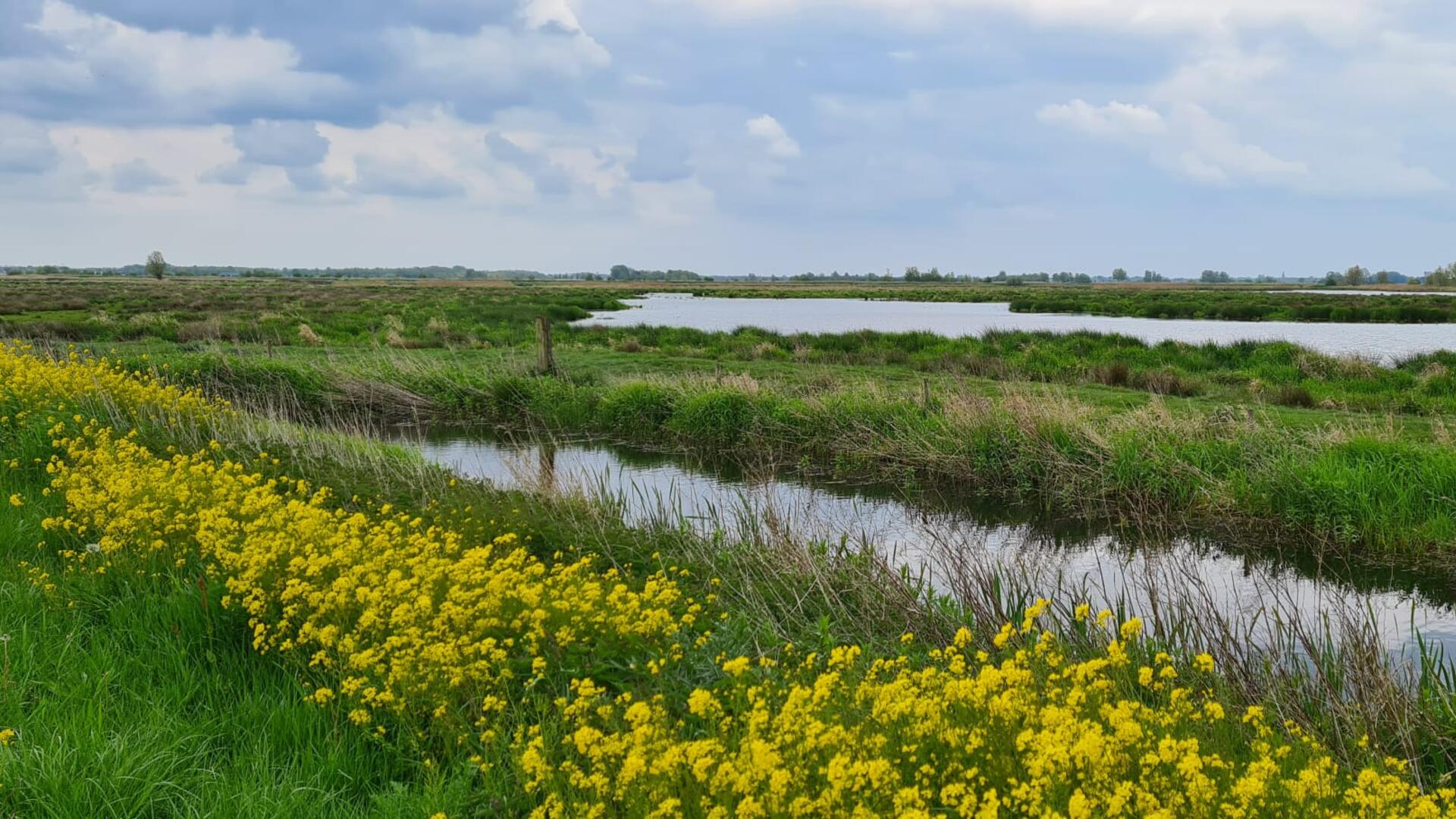 Midden-Groningse natuur